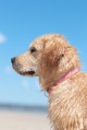 Thumbnail for version as of 00:12, 1 June 2010