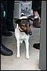 IMG_8995.jpg