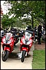 IMG_9017.jpg
