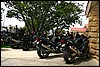 IMG_9029.jpg