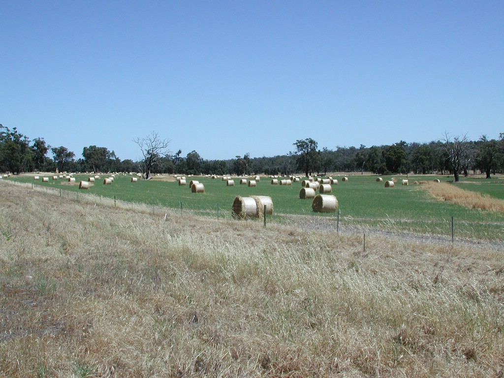 DSCN4309.JPG