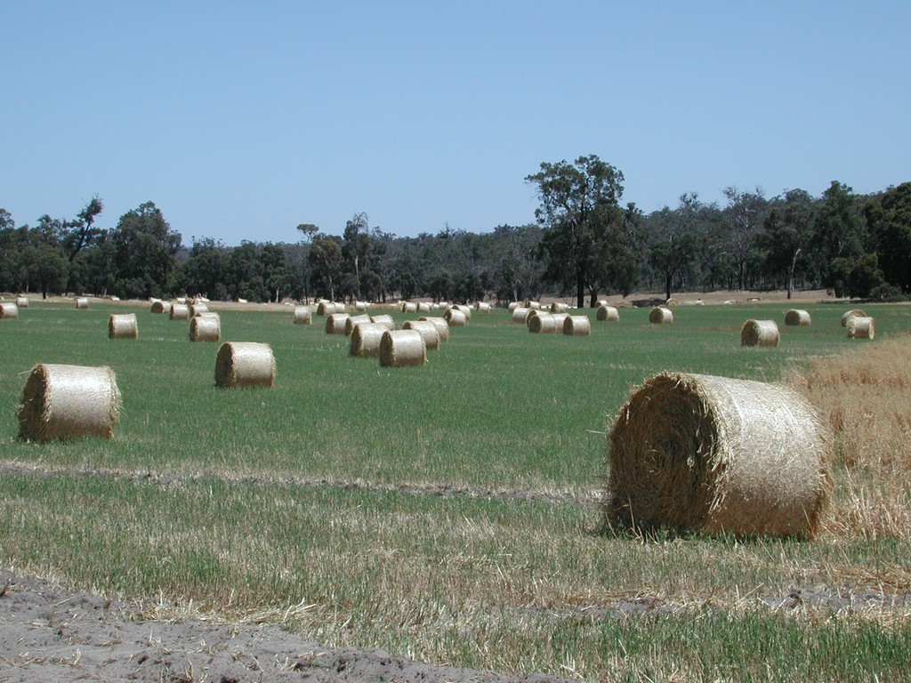 DSCN4310.JPG