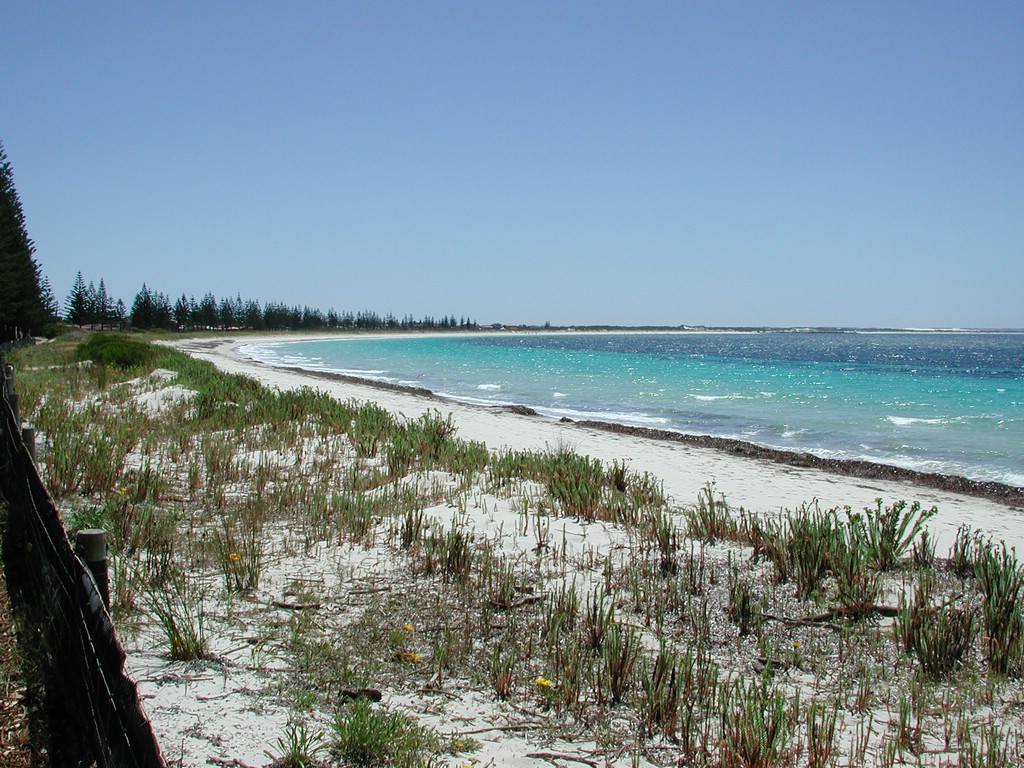 DSCN4335.JPG