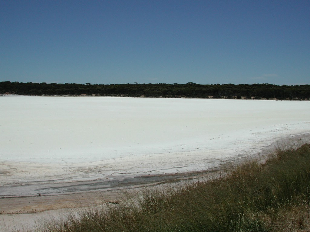 DSCN4352.JPG