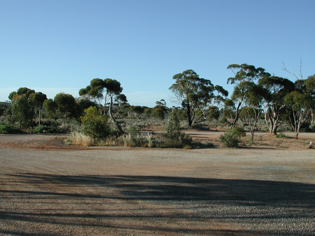 DSCN4360.JPG