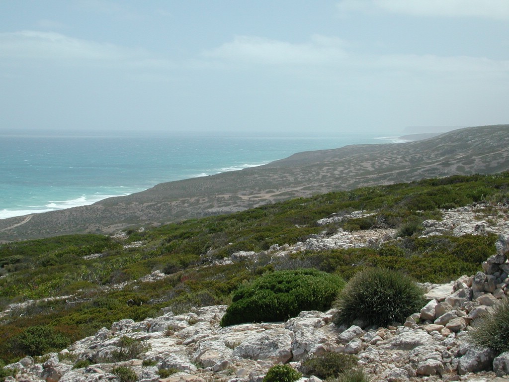 DSCN4385.JPG