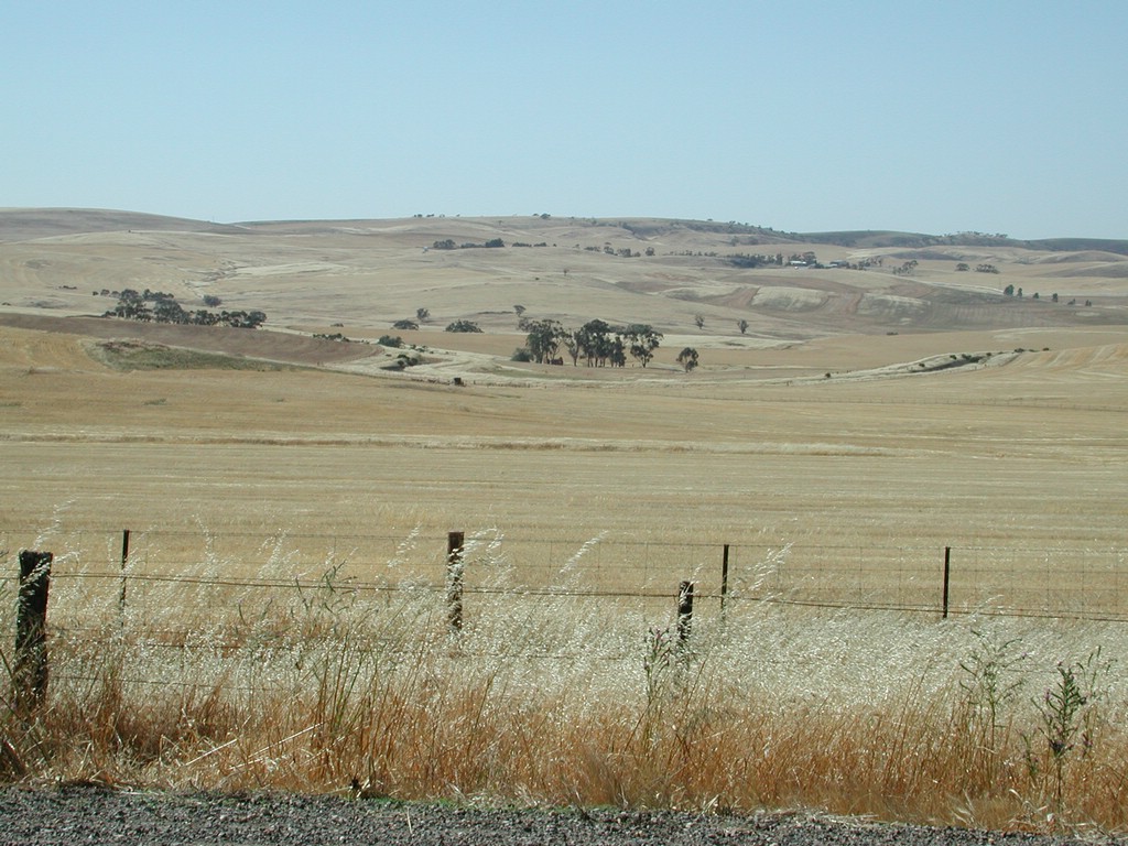 DSCN4398.JPG