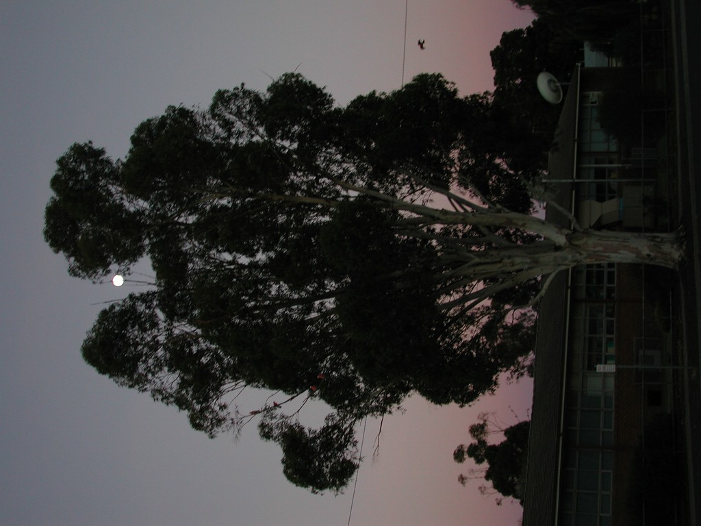 DSCN4402.JPG