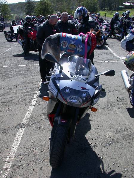 DSCN4164.JPG