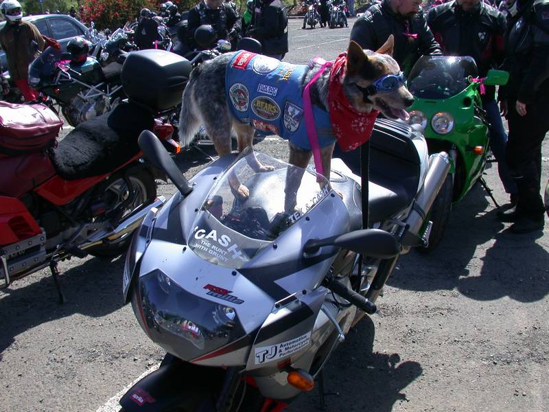 DSCN4165.JPG