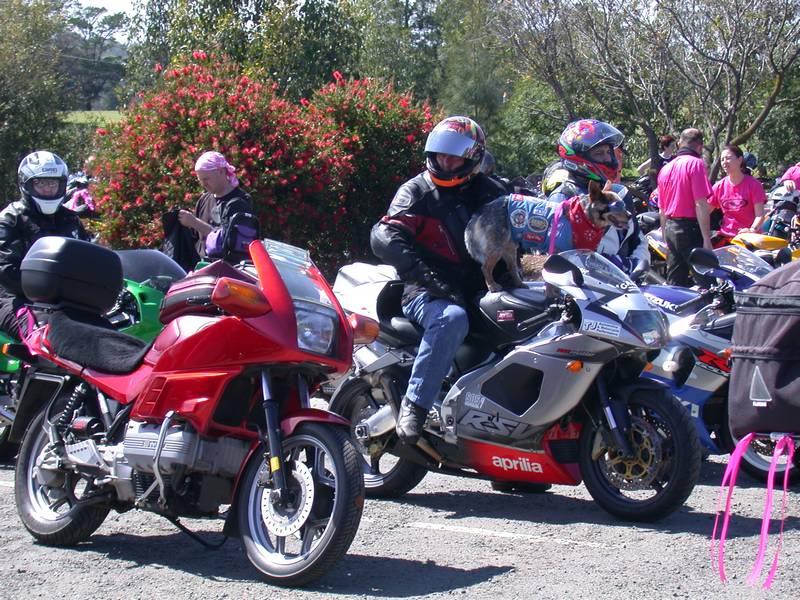 DSCN4190.JPG