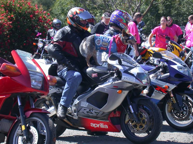 DSCN4191.JPG
