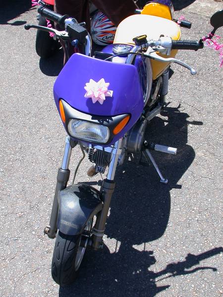 DSCN4221.JPG