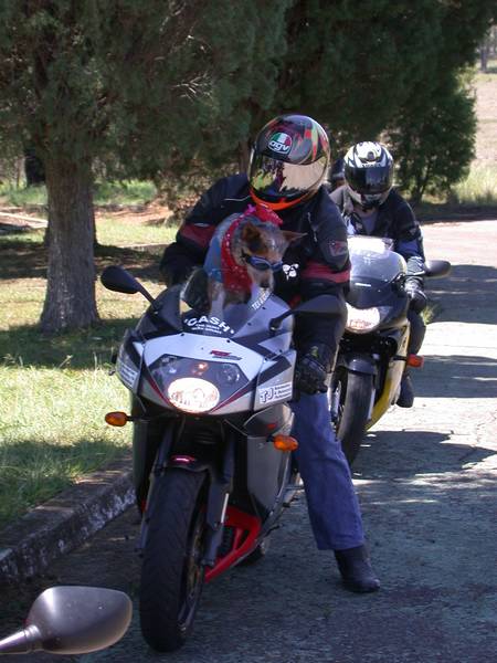 DSCN4238.JPG