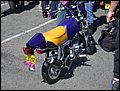 DSCN4159.JPG