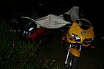 IMG_7784.JPG