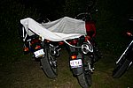 IMG_7786.JPG
