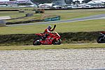 IMG_0352.JPG
