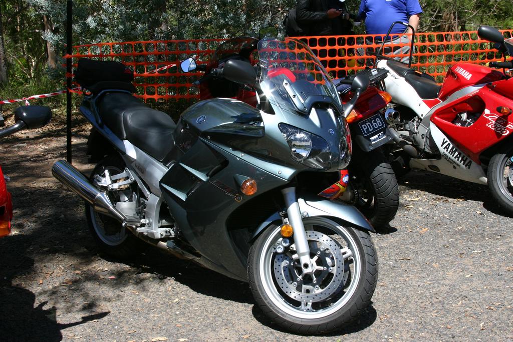 IMG_3613.JPG