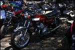 IMG_3439.JPG
