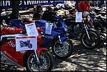 IMG_3468.JPG