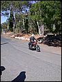 DSCN4842.JPG